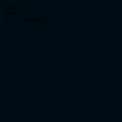 #000C14 - Blue Charcoal Color Image